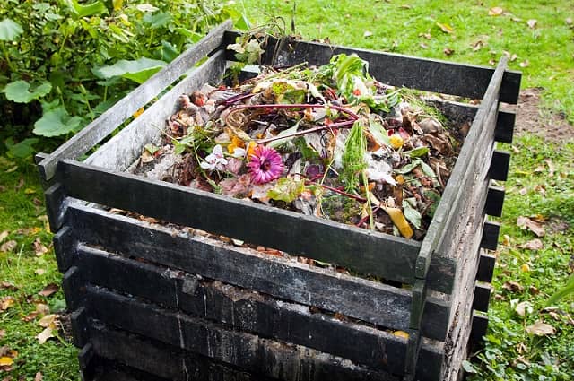 Composting 101
