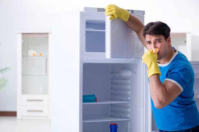 5 Tips to Keep Your Home Smelling Fresh