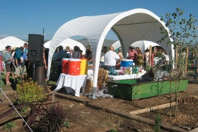 Tailgating Economics: How Much Fans Really Spend