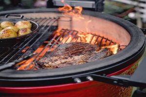 Kamado Style Grills