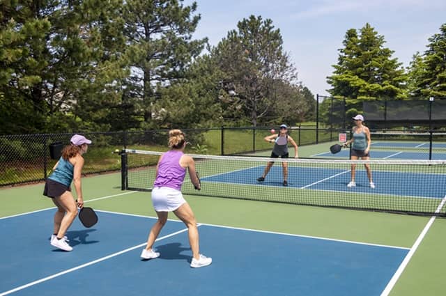 Pickleball Popularity